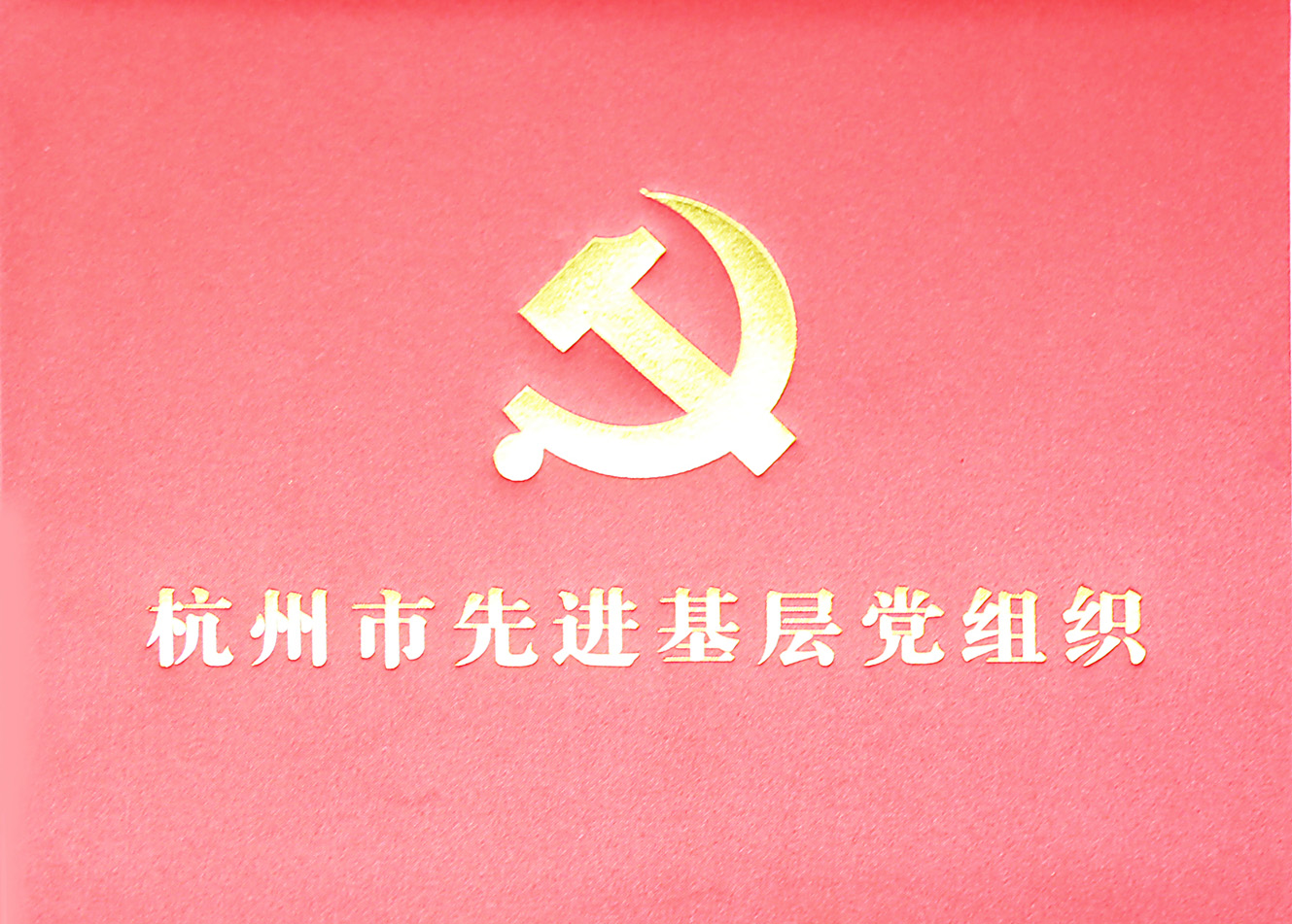 金沙娱场城app7979被评选为杭州市先进基层党组织